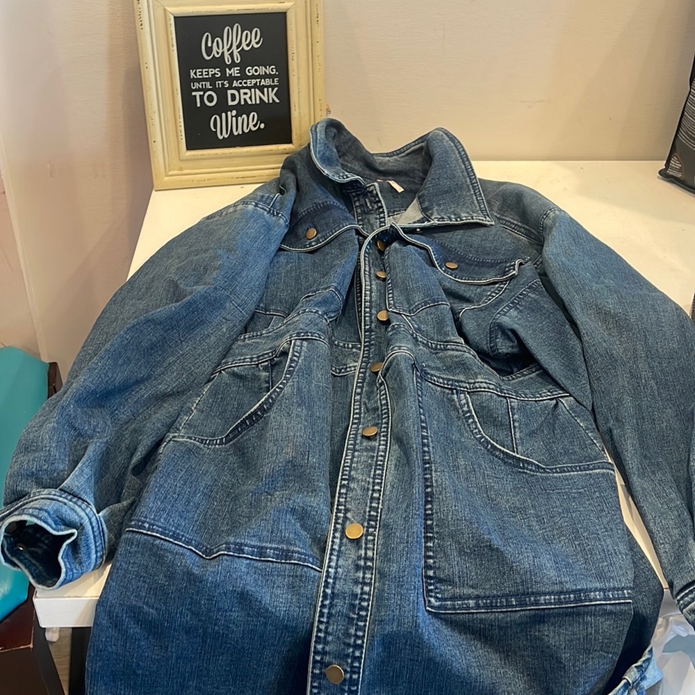 Free people Denim dress